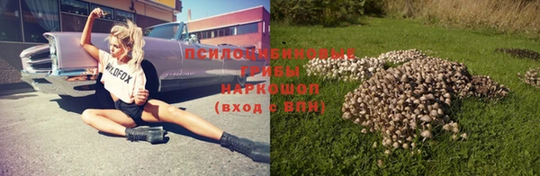 не бодяженный Иннополис